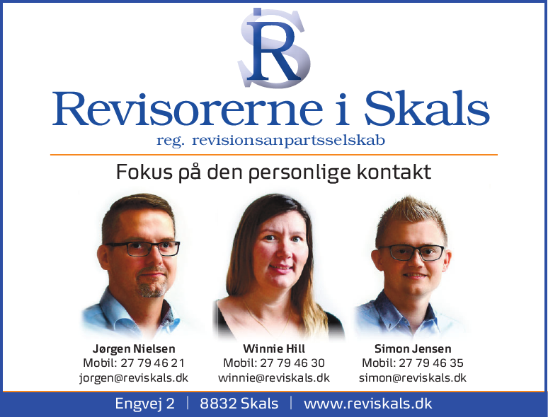 revisorerne i skals