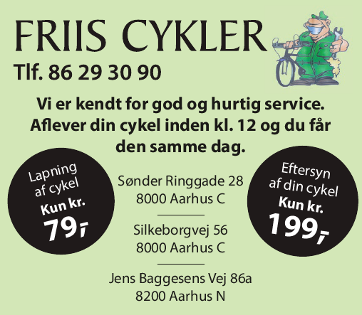 Friis Cykler Friis E-Profil
